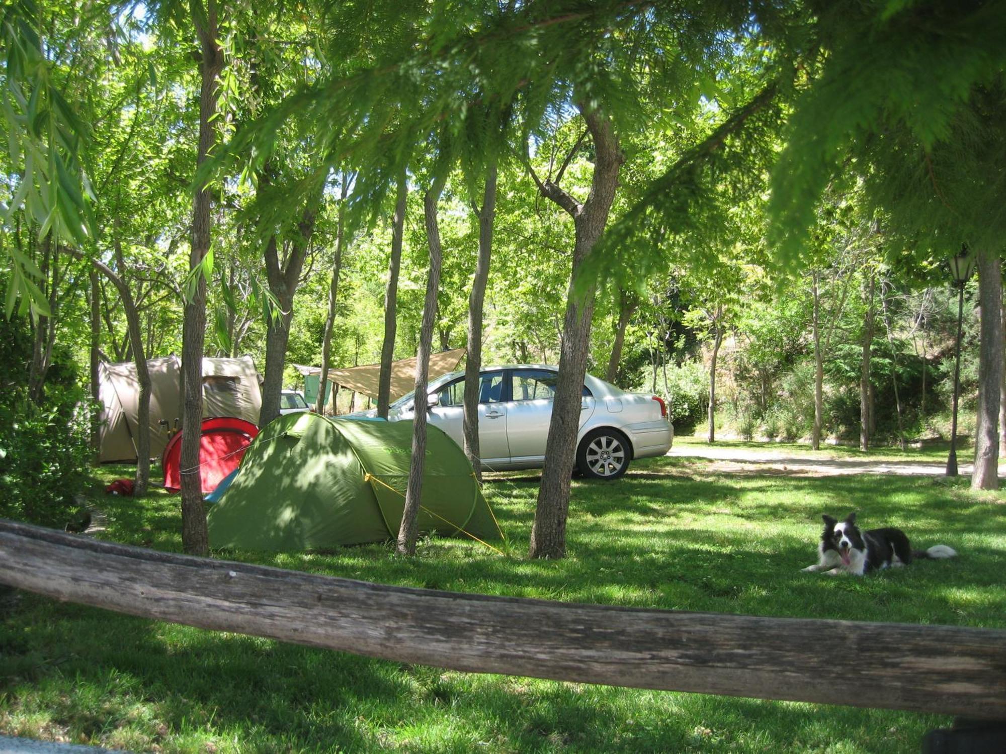 Camping Trevelez Exterior photo